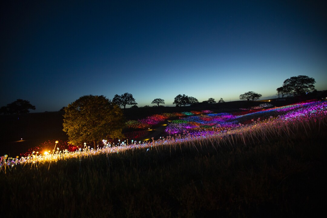 Paso Robles' field of gleams reopens today 12 The goal is to engage the public in a light-based, sculptural experience.
