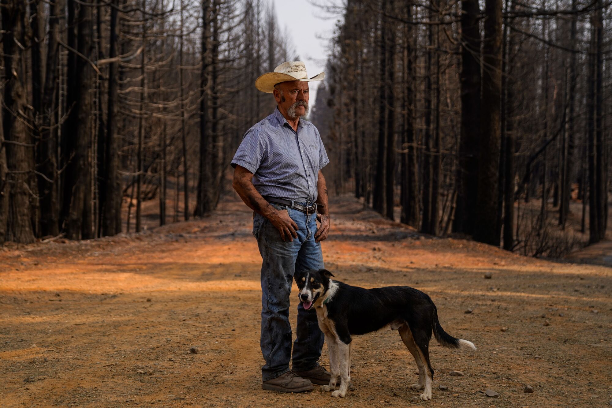 Dave Daley and his dog, Newt, in the North Complex West Fire burn area.
