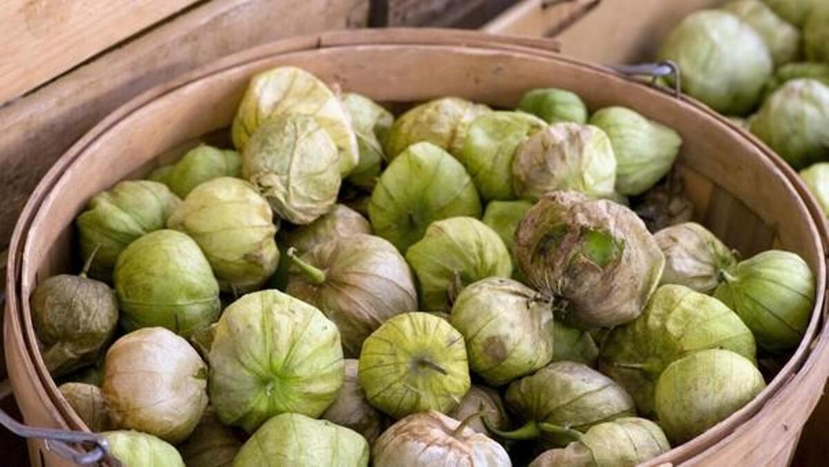 Tomatillos grown by Jimenez Family Farm in Santa Ynez.