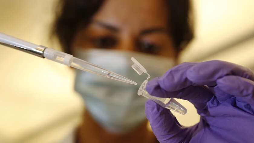 Rosa Menjivar, a criminalist with the Los Angeles Police Department, extracts DNA from a sample at the Hertzberg-Davis Forensic Science Center on April 26.