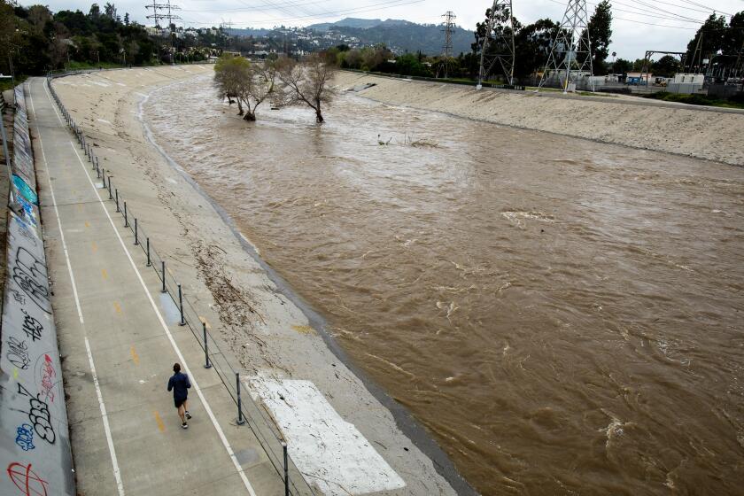 LOS ANGELES, CA - MARCH 16: A jogger runs on the river trail in a view from the Fletcher Drive Bridge crossing a soft-bottom section of the LA River as it flows through Atwater Village where officials say vegetation, debris and trees could cause storm water to back up in the channel and potentially local neighborhoods on Thursday, March 16, 2023 in Atwater Village, CA. (Brian van der Brug / Los Angeles Times)