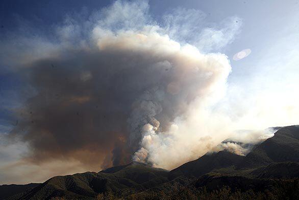 The wildfire that broke out Aug. 8 in Los Padres National Forest was reportedly caused by an illegal marijuana-growing operation, officials say.