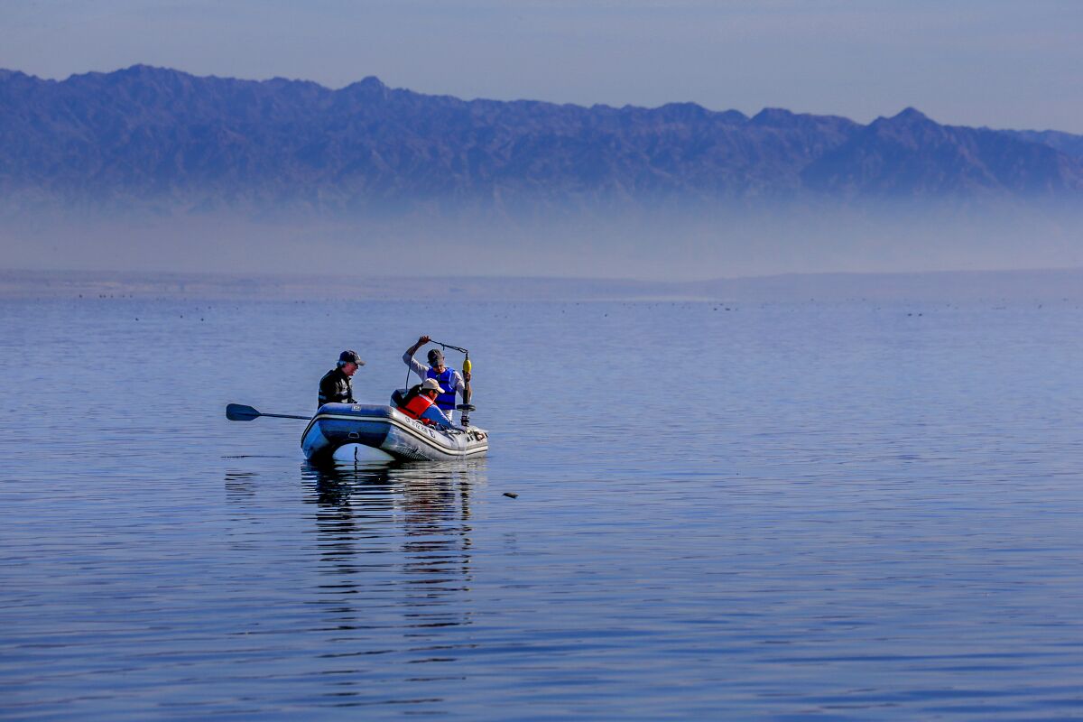 UC Riverside researchers collect samples from the bottom of the Salton Sea.