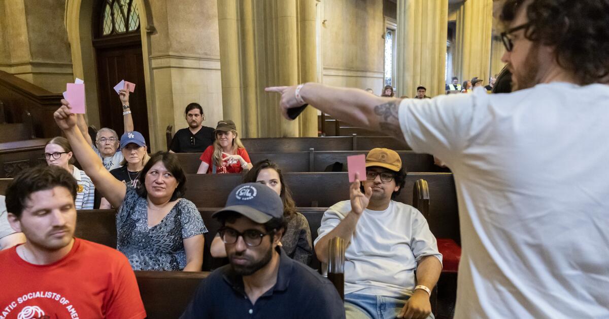 Os Socialistas Democratas da América não apoiarão a corrida para prefeito de Los Angeles