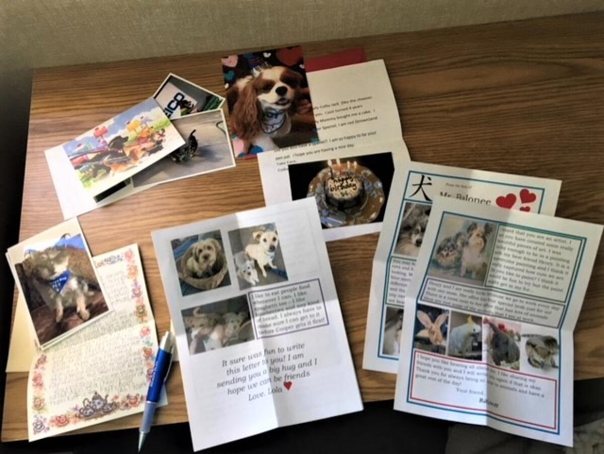Pups, parrots and bunnies all take letter writing to seniors seriously in a COVID pen pal program.