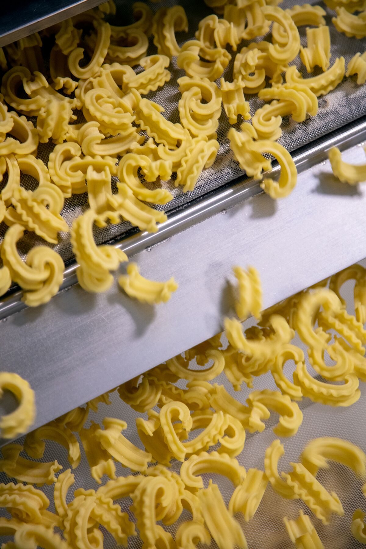 Cascatelli pasta on a production line