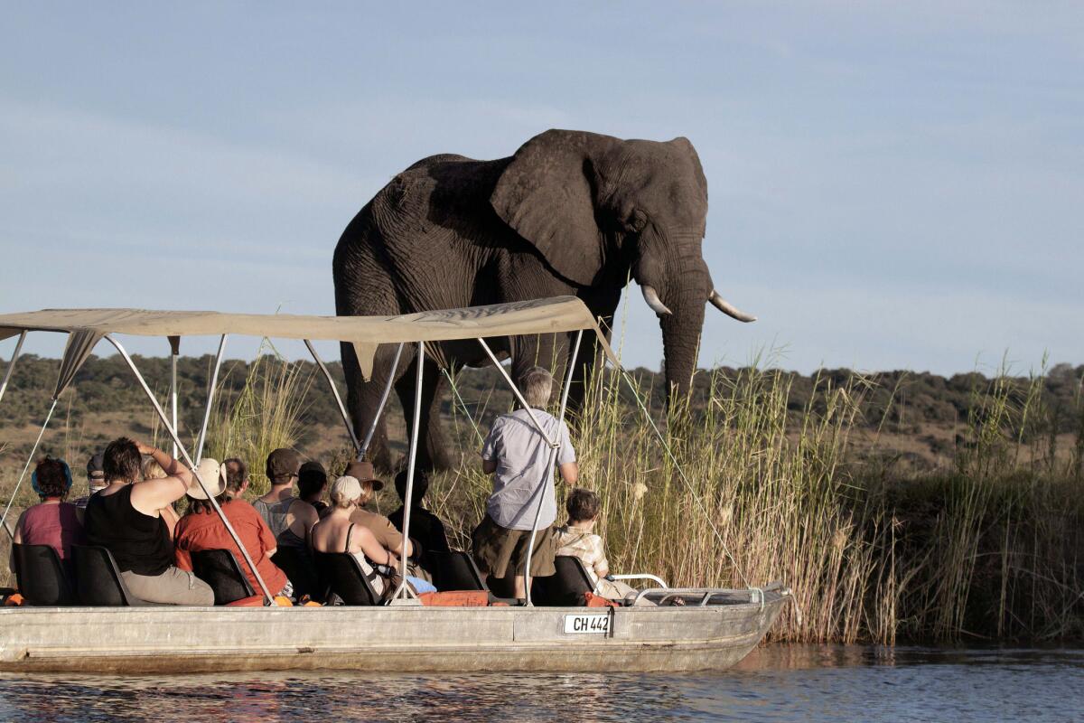 Tourists enjoy the sunset on the Chobe river in Botswana Chobe National Park, in the north eastern of the country.