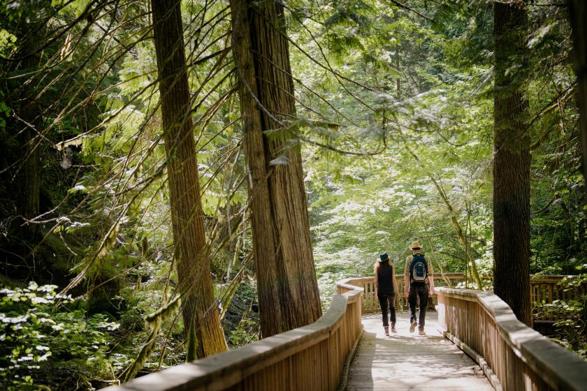 The wheelchair-accessible Happy Creek Nature Trail in North Cascades National Park in Washington State, June 2, 2023. There are several U.S. parks that outdoor enthusiasts with disabilities can enjoy this summer. (Grant Hindsley/The New York Times)