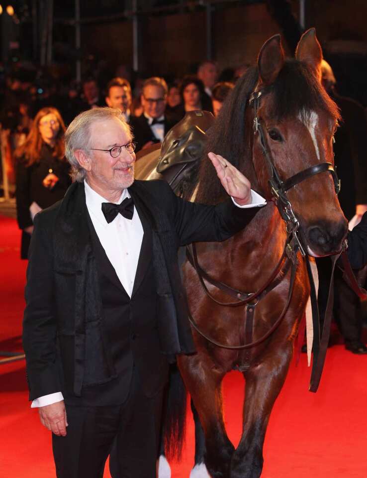 Director Steven Spielberg pats Joey the war horse during the red carpet premiere of his latest effort, "War Horse," at Odeon Leicester Square in London. The film is a sweeping epic about the enduring connection between a boy and his horse and the Great War that tears them apart.