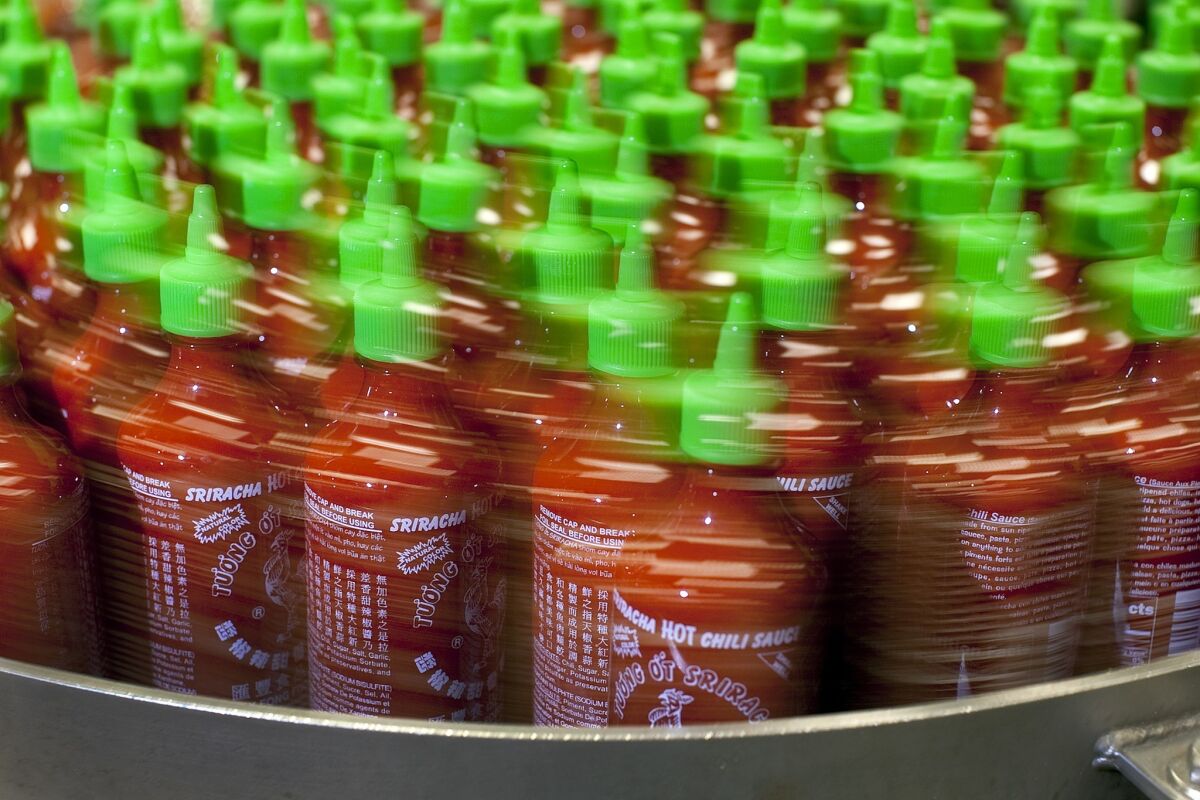 Bottles of Sriracha sauce move through a conveyor belt ready for packaging at Huy Fong Foods.