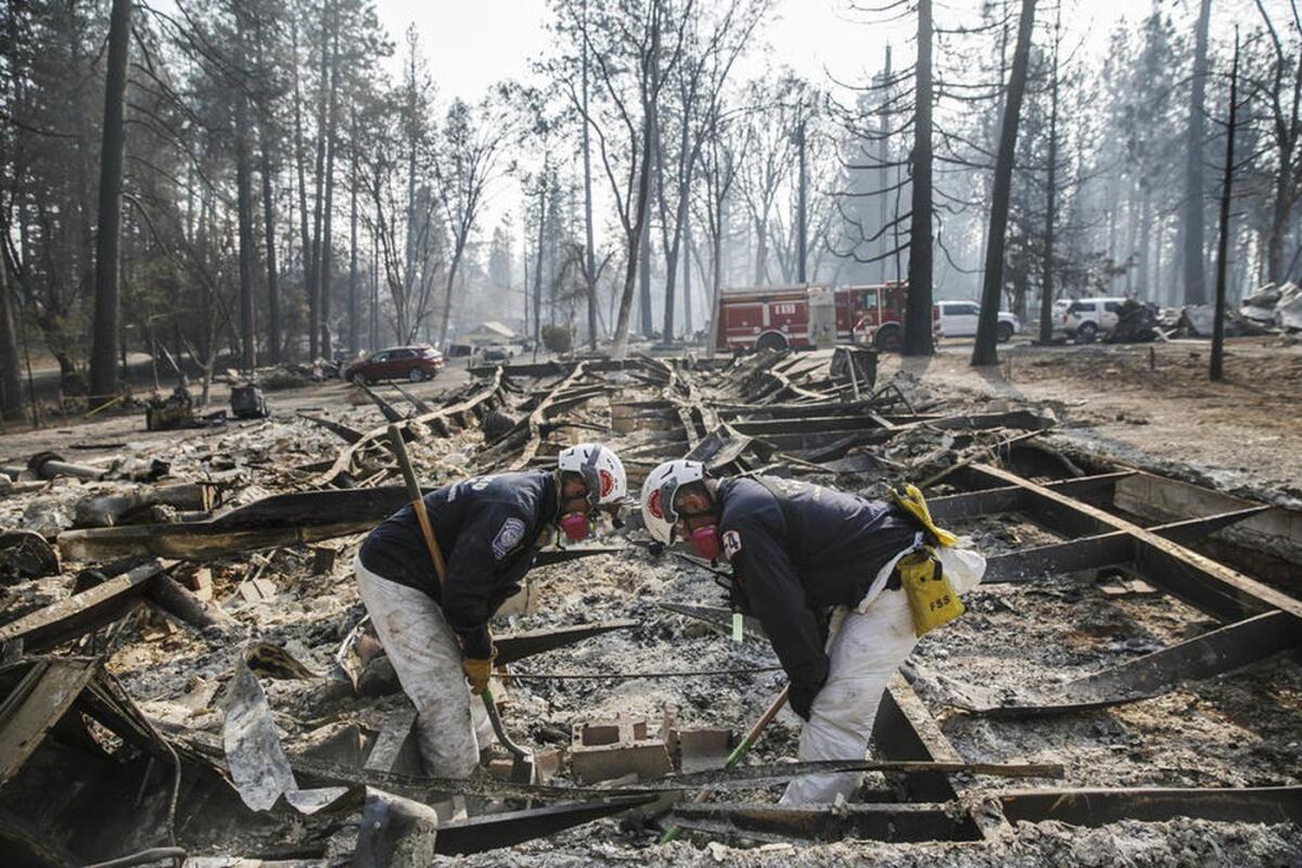 A recovery team searches for human remains after the Camp fire.