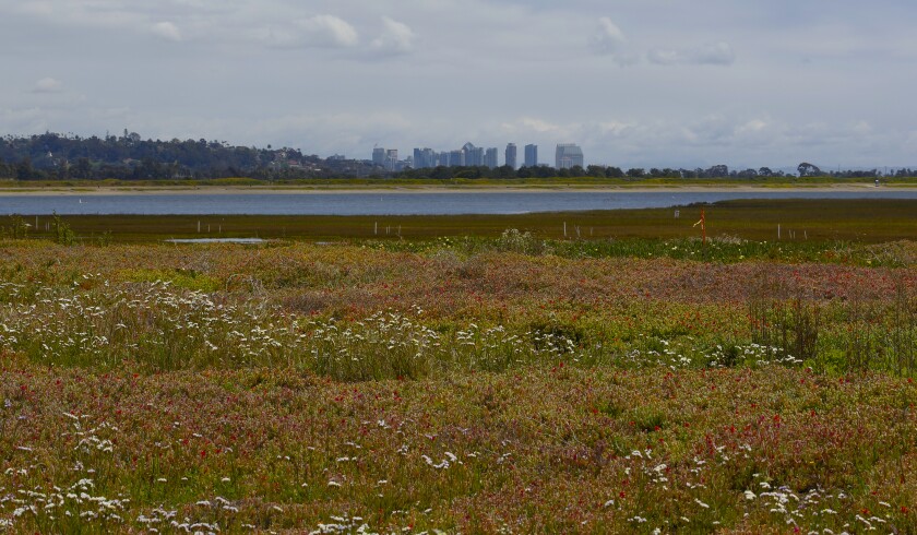 Kendall-Frost Mission Bay Marsh Reserve on the corner of Pacific Beach Drive and Crown Point Drive.