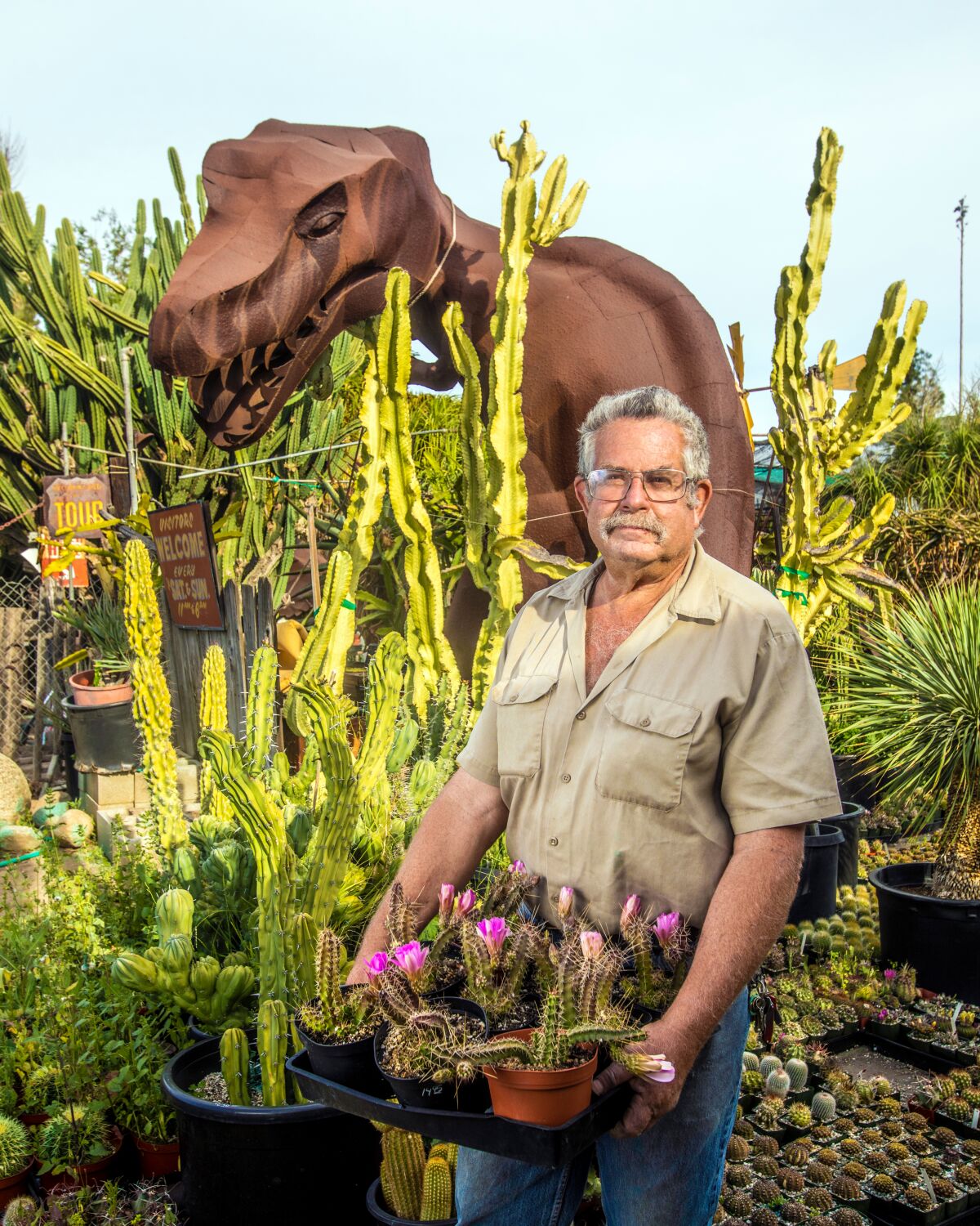 A man wearing glasses and button-down shirt stands in front of a metal dinosaur sculpture while holding a tray of cactus.