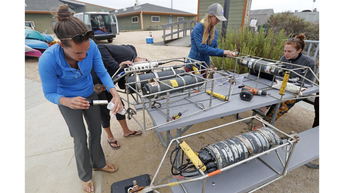 UC Davis marine researchers Melissa Ward, left, Kristen Elsmore, center, and Aurora Ricart, right, check on water sensors they retrieved from Upper Newport Bay on Tuesday. They are studying the effect of eelgrass on ocean acidity.
