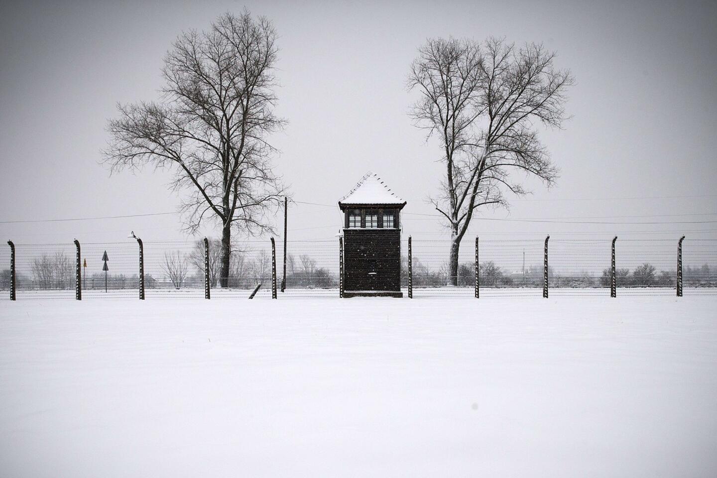 Auschwitz, 70 years after liberation