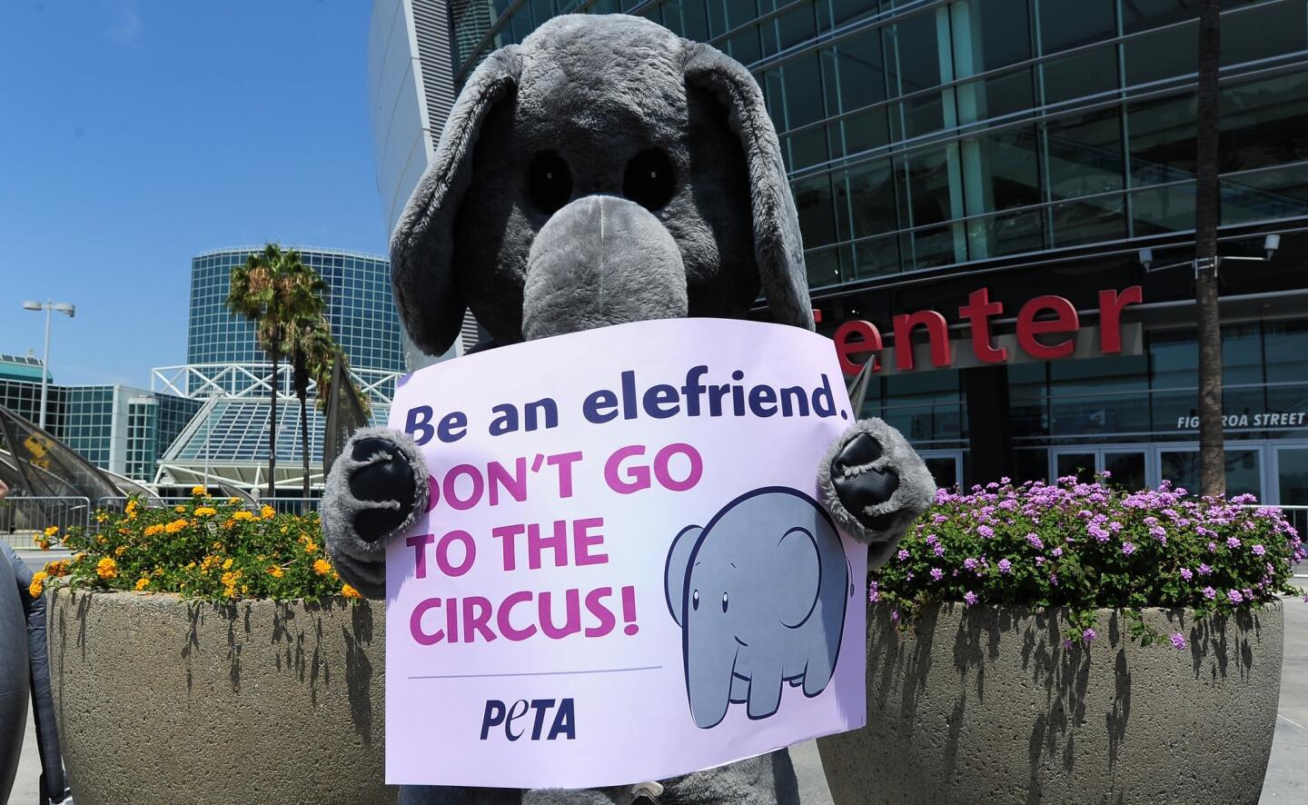 An animal rights activist in an elephant costume holds a placard during a protest in front of the Staples Center in Los Angeles, on July 11, 2012 in California, on the opening day of the Ringling Bros. and Barnum & Bailey Circus.