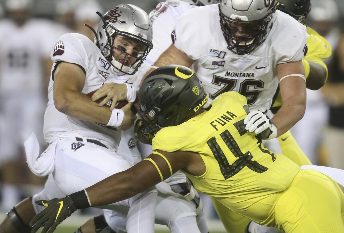 Oregon's Mase Funa sacks Montana quarterback Dalton Sneed during a game in September.