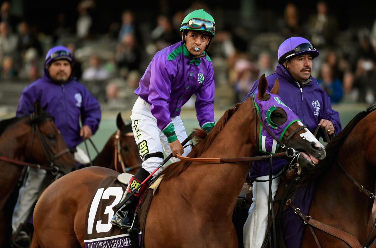 Jockey Victor Espinoza atop California Chrome takes the track for the start of the 2014 Breeders' Cup at Santa Anita Park on Nov. 1.