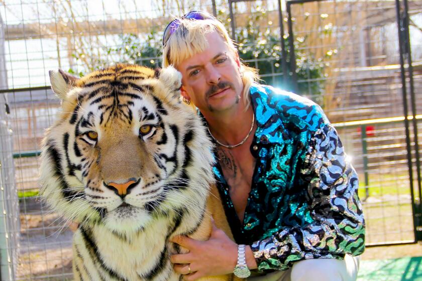 Joe Exotic poses with one of his wild cats in "Tiger King."