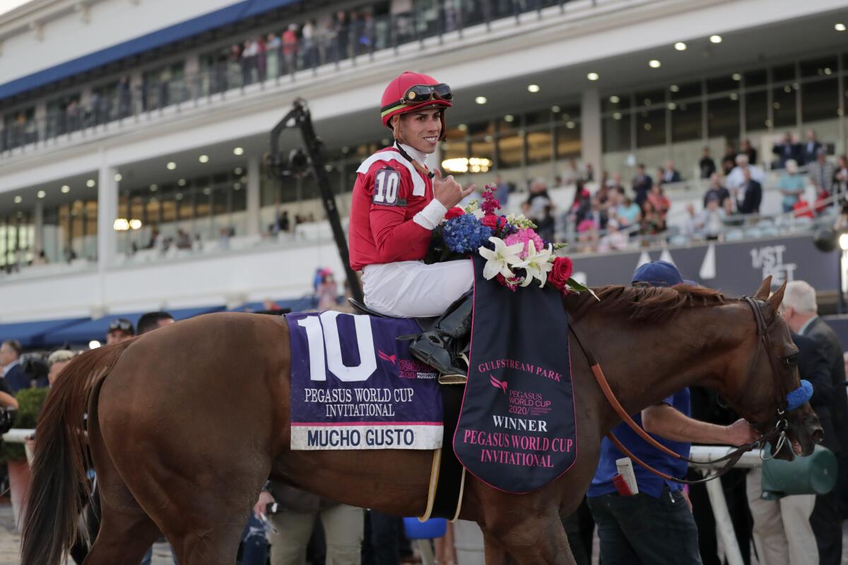 Jockey Irad Ortiz Jr. sits atop Mucho Gusto in the winner's circle following the Pegasus World Cup Invitational at Gulfstream Park.