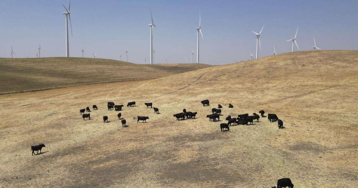 Silicon Valley billionaires postpone plans for new California city Silicon Valley billionaires postpone plans for new California city