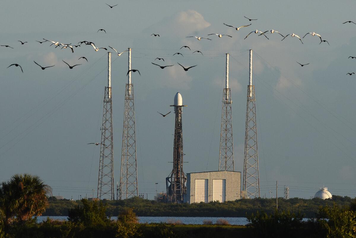 Birds fly past a rocket