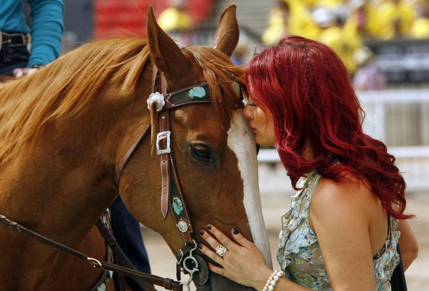 Horse kiss