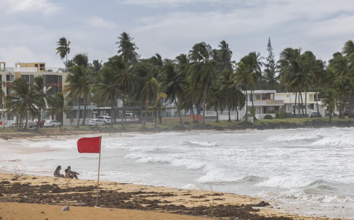 Tourists sit on a beach as a flag and trees blow in the wind. 