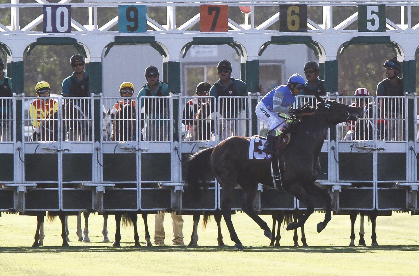 Del Mar Opening Day 2014 scene