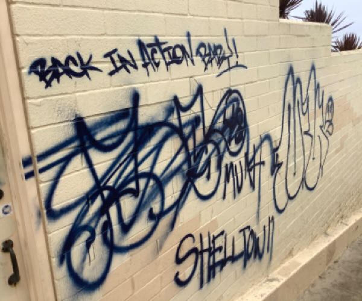 One of a string of graffiti messages marking a public pathway wall from Camino de la Costa to the beach in La Jolla.