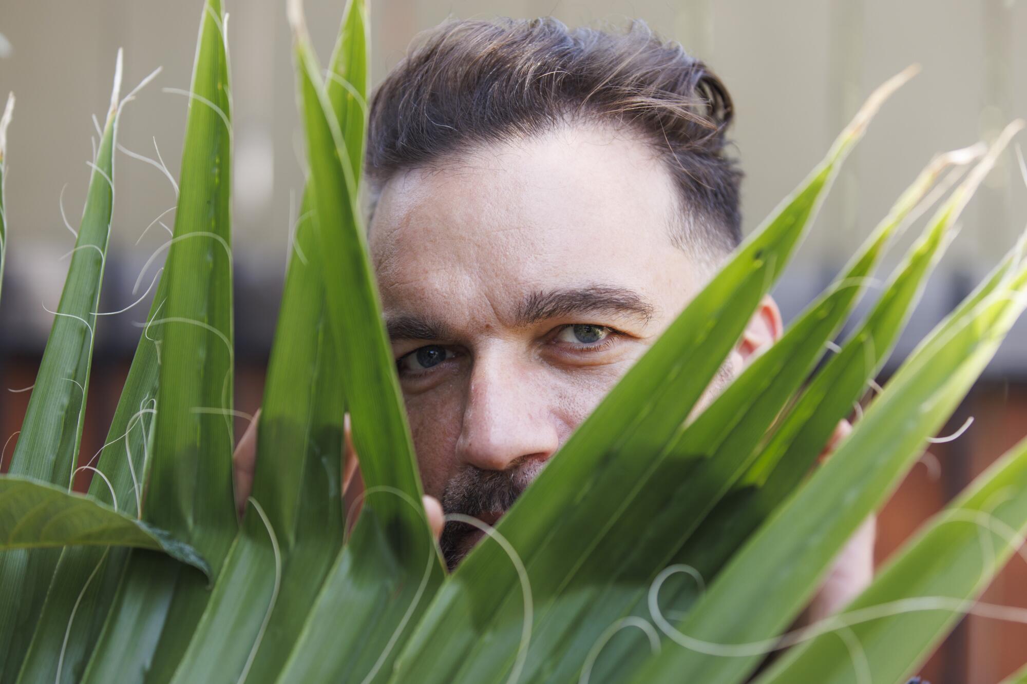 A man peeks through palm fronds in an East Hollywood garden. 