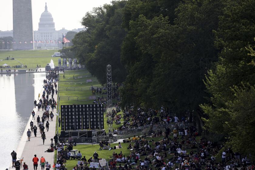 Crowd gathers for 2020 March on Washington