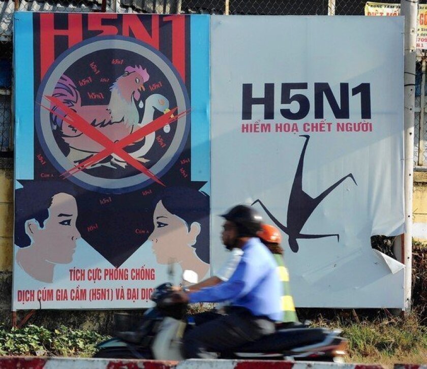 A poster in Ho Chi Minh City, Vietnam, warns people about bird flu. Scientists have created versions of the bird flu virus that are easily transmissible among mammals.