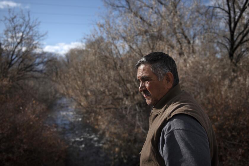 TAOS NEW MEXICO NOVEMBER 22, 2019 -- Vicente Fernandez looks over the Rio Pueblo, which flows from Blue Lake in the Sangre de Cristo Mountains and converges with the Rio Fernando in Ranchitos. The network of acequias winding across Taos County have served farmers and households for centuries. "A lot of people tend to think in the old days that the church was something that kept the community together," Fernandez said. "It's not so. It's the acequias that keep the community together." (Morgan Timms / For The Times)