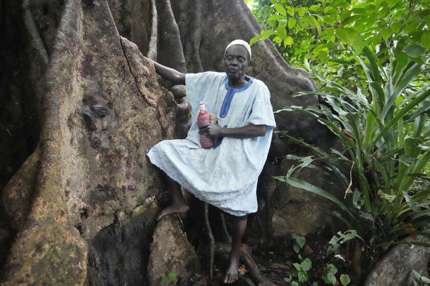 Gilbert Kakpo, a Voodoo priest, stands by a a sacred tree, who he claims is the protector of women at the Bohouezoun sacred forest in Benin, on Thursday, Oct. 5, 2023. “Our divinity is the protector of women,” he says. “If you’re a woman who’s had miscarriages or has given birth to stillborn children and you come here for rituals, you’ll never endure those hardships again ... I can’t count the number of people who have been healed or treated here.” (AP Photo/Sunday Alamba)