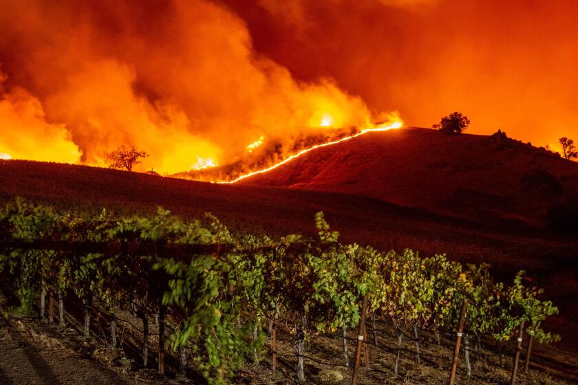 Flames approach rolling hills of grape vines during the Kincade fire near Geyserville, California on October 24, 2019. - The fire broke out in spite of rolling blackouts by utility companies in both northern and Southern California. (Photo by Josh Edelson / AFP) (Photo by JOSH EDELSON/AFP via Getty Images) ** OUTS - ELSENT, FPG, CM - OUTS * NM, PH, VA if sourced by CT, LA or MoD **