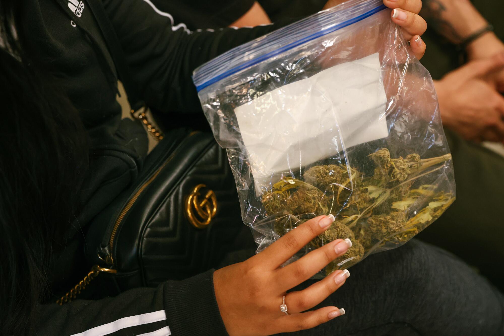 A well-manicured hand holds a plastic bag full of cannabis buds.