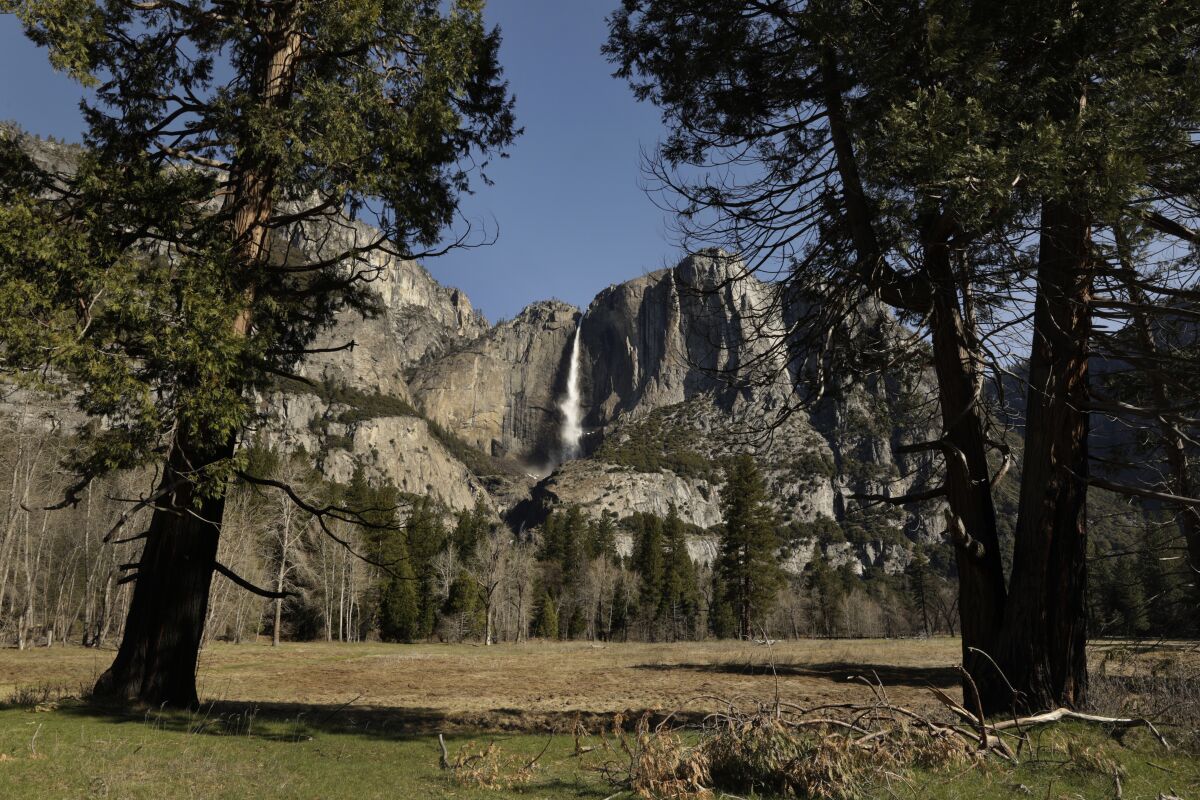 Yosemite Falls seen from across the Yosemite Valley