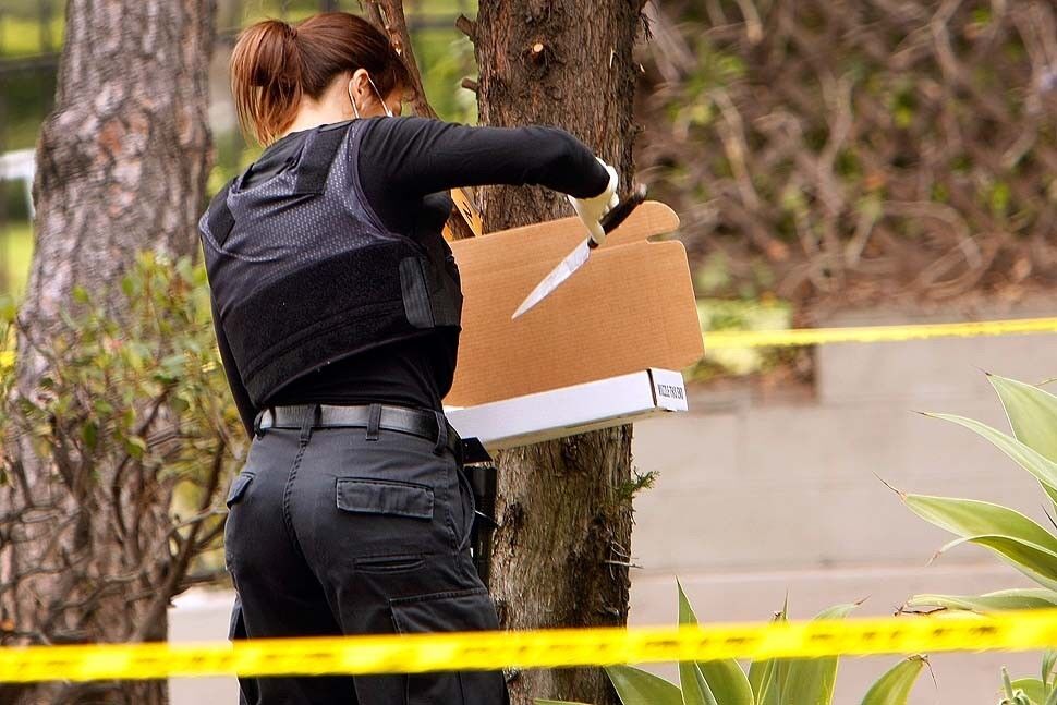 An LAPD investigator collects a knife stuck in a tree as they look for evidence at an apartment building located at the corner of Washington Boulevard and Buckingham Road in Lafayette Square.