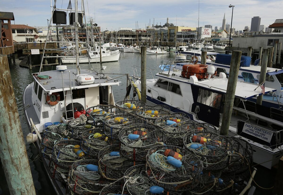 A boat sits loaded with crab pots at Fisherman's Wharf in San Francisco. Wildlife authorities delayed the Dungeness crab season and closed the rock crab fishery for most of California after warning of toxic algae.