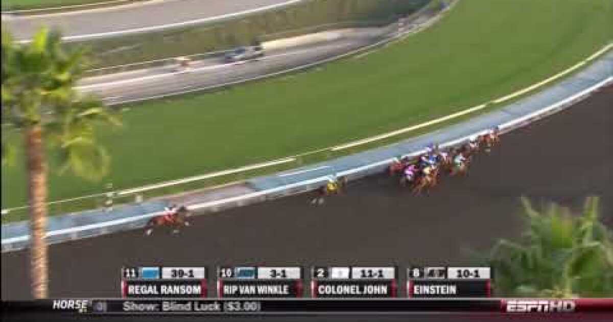 Zenyatta wins 2009 Breeders’ Cup Classic at Santa Anita