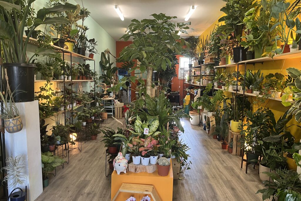37 of the coolest L.A. plant stores Los Angeles Times