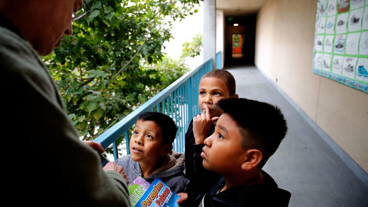 From left, Kiefer Xocol, Nathan Hobbs and Christian Gonzalez talk to Principal Brad Rumble about "Peregrine Falcon," a book that Kiefer and Christian checked out during recess.