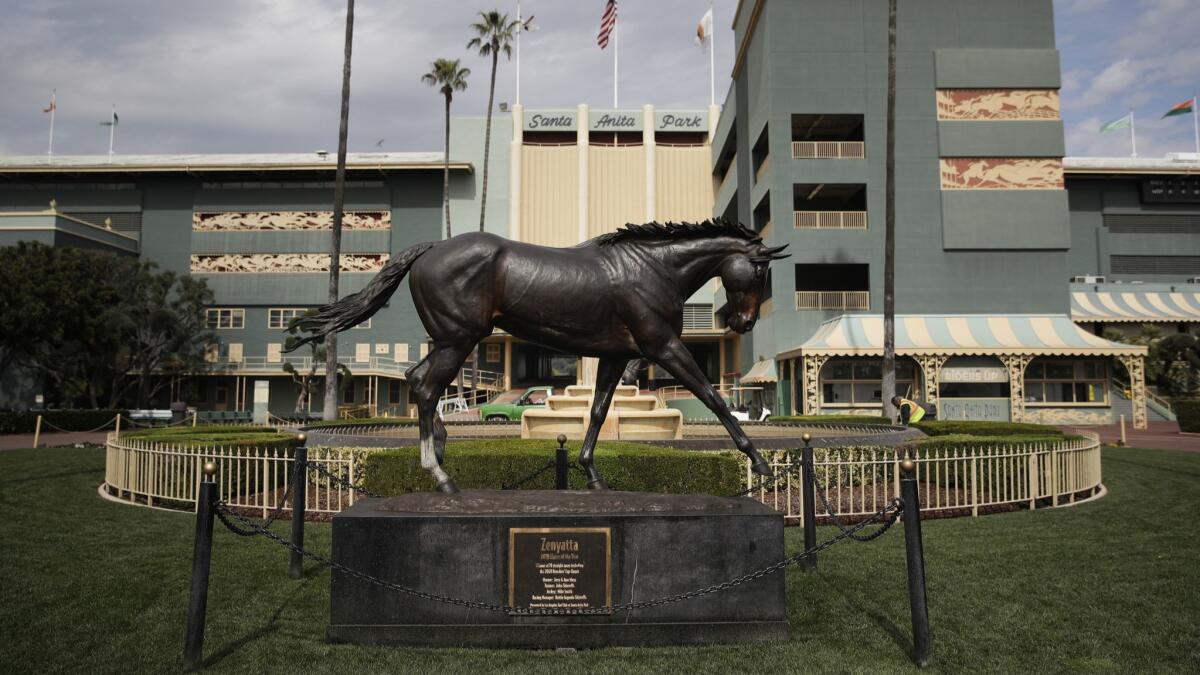 A total of 21 horses have died at Santa Anita since the start of the track's winter meet on Dec. 26.