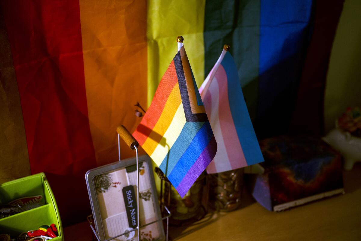 Pride flags are displayed on a desk.