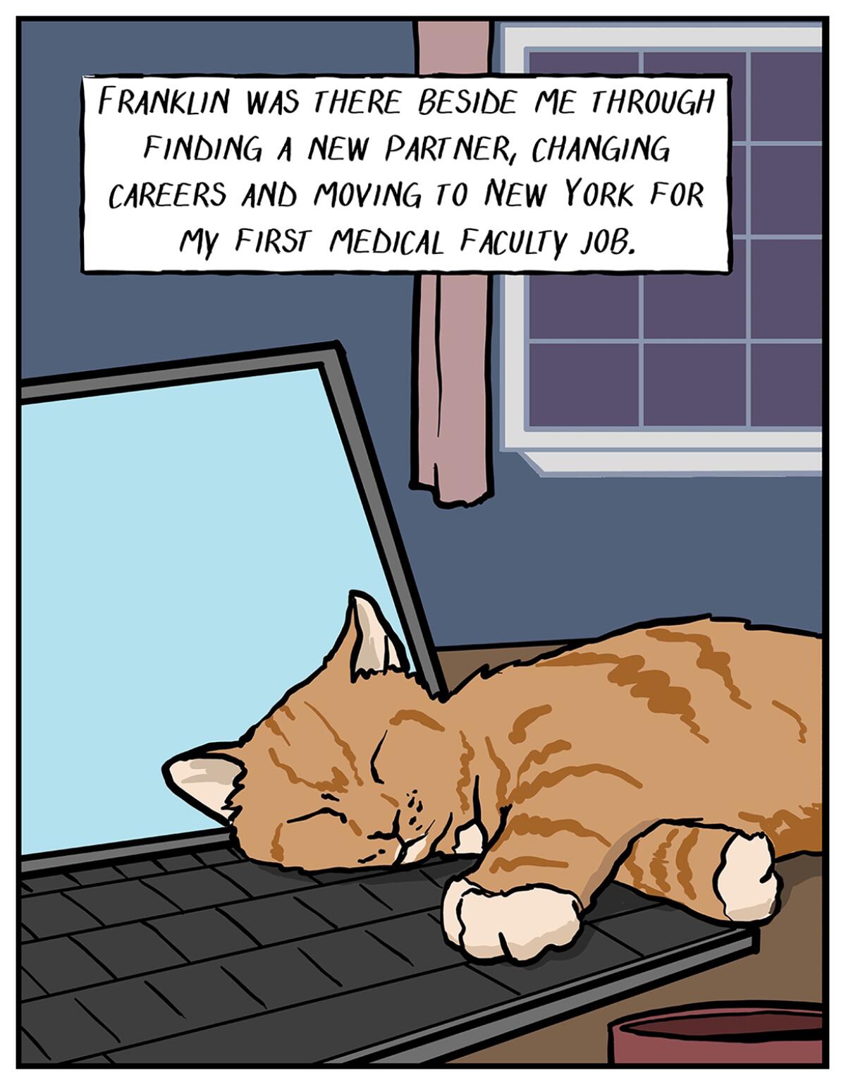 Illustration of  a cat asleep on a computer keyboard