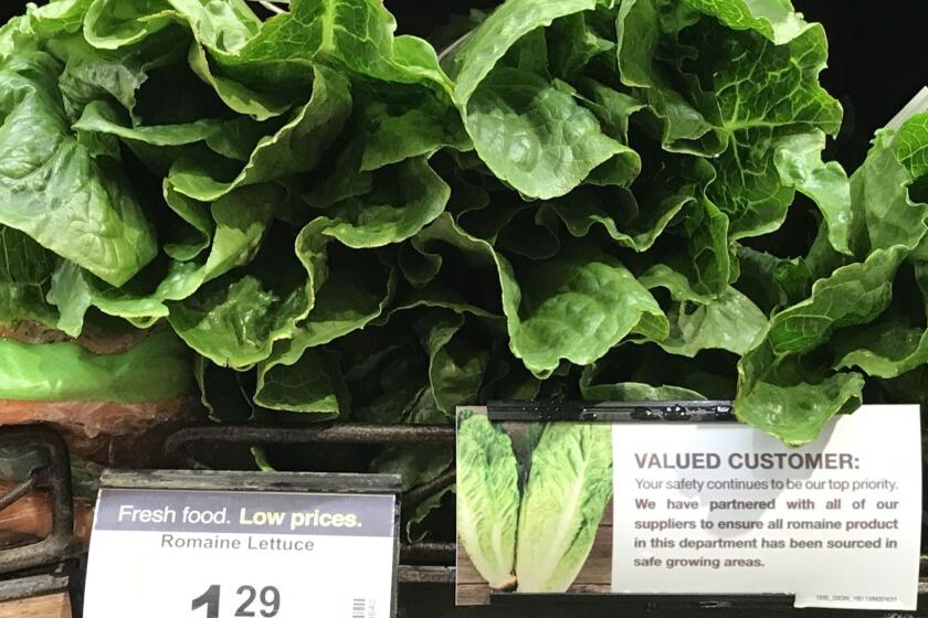 Mandatory Credit: Photo by MIKE NELSON/EPA-EFE/REX/Shutterstock (9663244a) Romaine lettuce accompanied by an indication that it has been 'sourced in safe growing areas' is displayed at a super market in Los Angeles, California, USA, 04 May 2018. An outbreak of E. coli tainted romaine lettuce grown in the Yuma, Arizona region has caused one death in California and sickened 121 other people, including 52 that required hospitalization in 25 states. Romaine lettuce for sale in California amid E. coli outbreak, Los Angeles, USA - 04 May 2018 ** Usable by LA, CT and MoD ONLY **