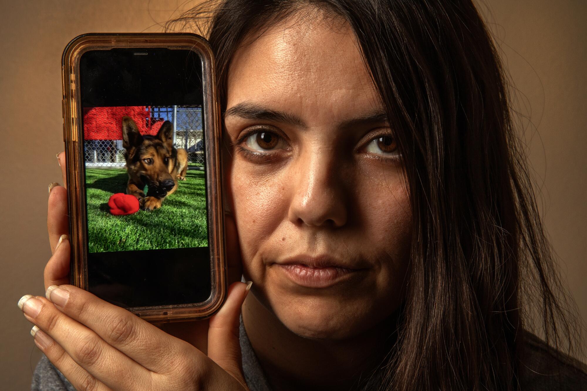 A closeup of a woman holding a cellphone next to her face, showing a picture of a German shepherd playing on a lawn