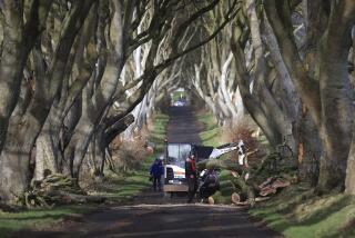 Tree surgeons clear up after a number of trees featured in the TV series Game Of Thrones were damaged and felled during Storm Isha, at the Dark Hedges, in County Antrim, Northern Ireland, Monday, Jan. 22, 2024. The tunnel of trees became famous when featured in the HBO fantasy series and now attracts significant numbers of tourists from around the world. (Liam McBurney/PA via AP)