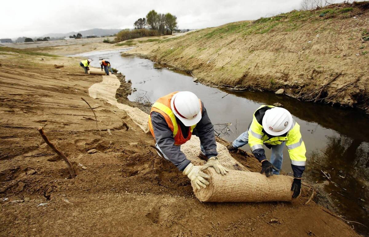 U.S. Army Corps of Engineers workers roll out jute netting to stabilize topsoil and minimize bank erosion along Haskell Creek in the Sepulveda Basin. The corps bulldozed 43 acres in December, angering bird watchers and environmentalists.